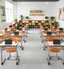 Dual or single School Desk and Ergonomic Chair Set scholar 37 d Manufacturers, Suppliers in Peren
