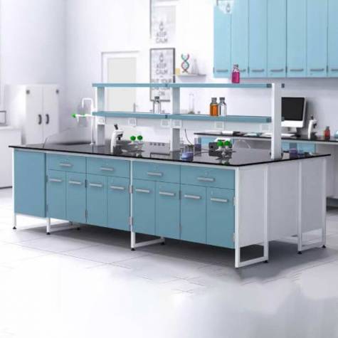 MS Based Pure Epoxy Chemistry Lab Furniture Manufacturers, Suppliers in Siliguri